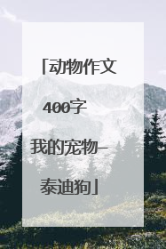 动物作文400字 我的宠物—泰迪狗