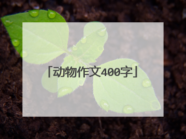 动物作文400字