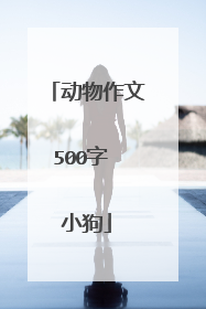 动物作文500字 小狗
