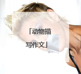 动物描写作文