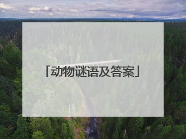 动物谜语及答案