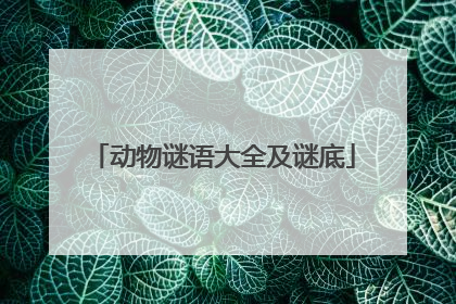 动物谜语大全及谜底