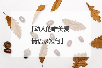动人的唯美爱情语录短句