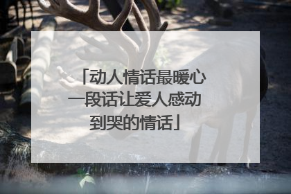 动人情话最暖心一段话让爱人感动到哭的情话