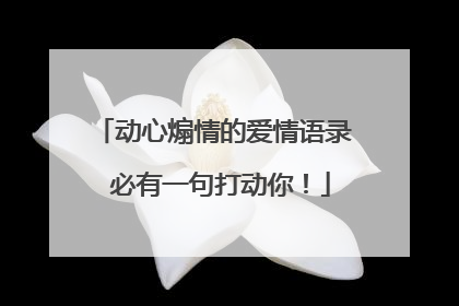 动心煽情的爱情语录 必有一句打动你!