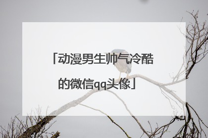 动漫男生帅气冷酷的微信qq头像