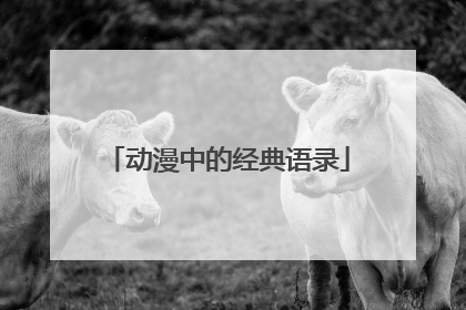 动漫中的经典语录