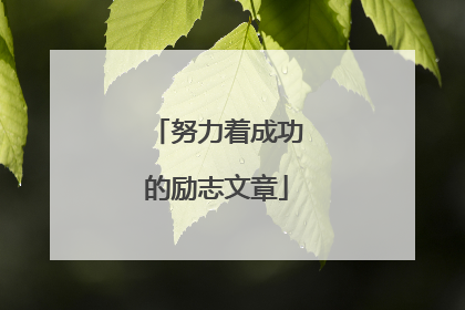 努力着成功的励志文章
