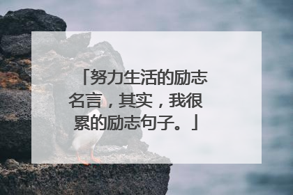 努力生活的励志名言,其实,我很累的励志句子。