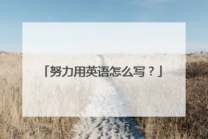 努力用英语怎么写?