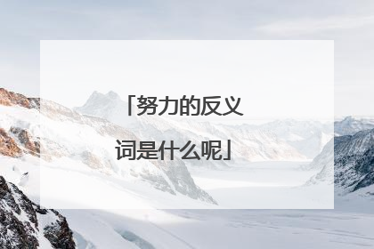 努力的反义词是什么呢