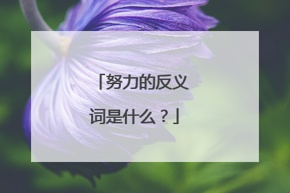 努力的反义词是什么？