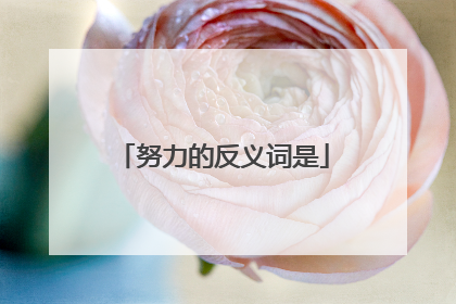 努力的反义词是