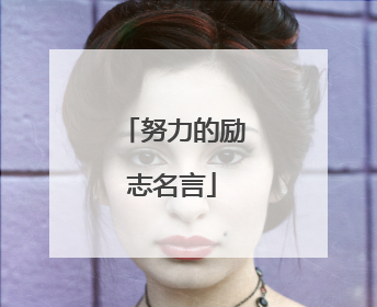 努力的励志名言