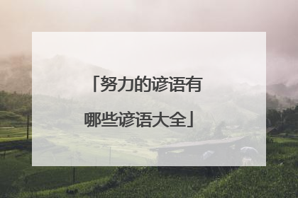 努力的谚语有哪些谚语大全