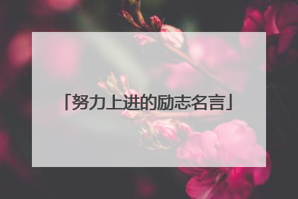 努力上进的励志名言