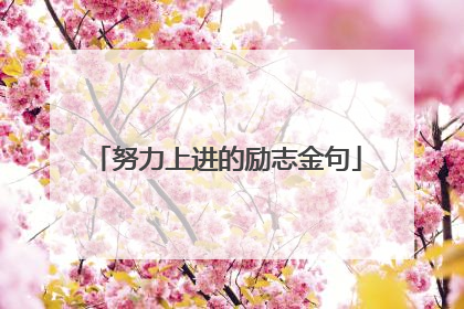 努力上进的励志金句