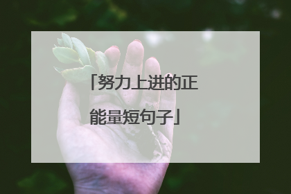 努力上进的正能量短句子