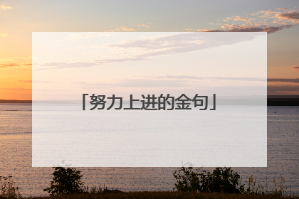 努力上进的金句