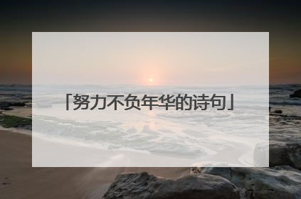 努力不负年华的诗句