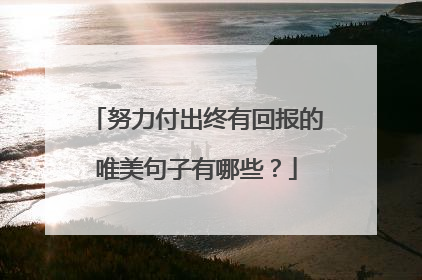 努力付出终有回报的唯美句子有哪些?
