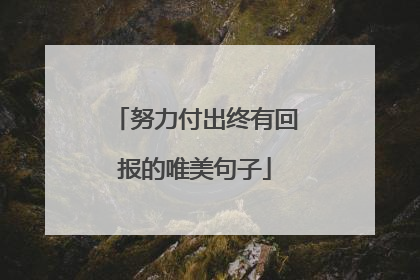 努力付出终有回报的唯美句子