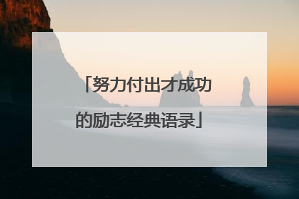 努力付出才成功的励志经典语录