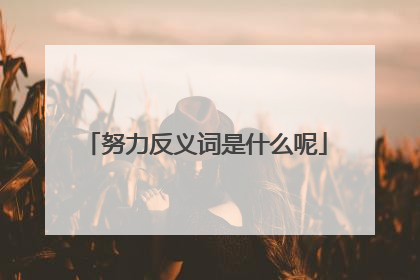 努力反义词是什么呢