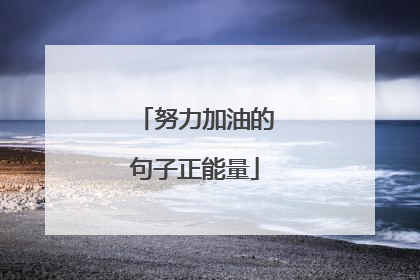 努力加油的句子正能量