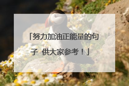 努力加油正能量的句子 供大家参考！