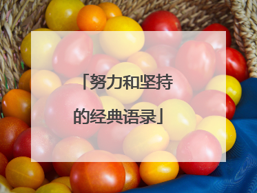 努力和坚持的经典语录