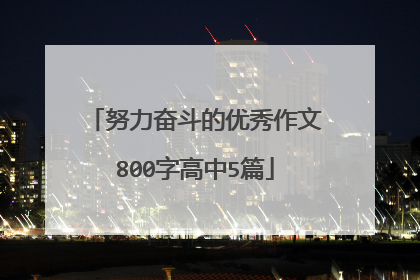 努力奋斗的优秀作文800字高中5篇
