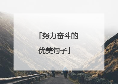 努力奋斗的优美句子