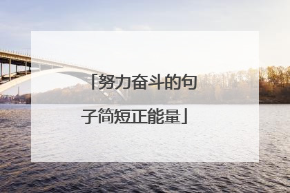 努力奋斗的句子简短正能量