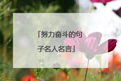 努力奋斗的句子名人名言