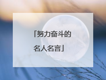 努力奋斗的名人名言