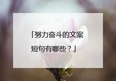 努力奋斗的文案短句有哪些？