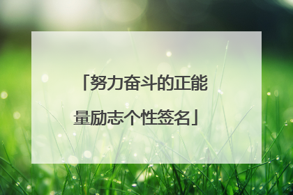 努力奋斗的正能量励志个性签名