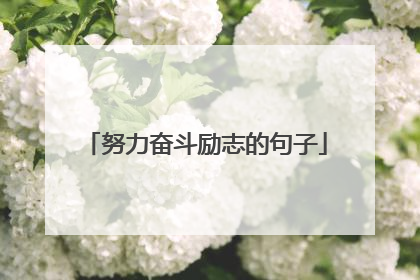 努力奋斗励志的句子