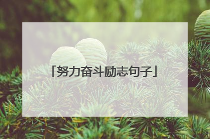 努力奋斗励志句子