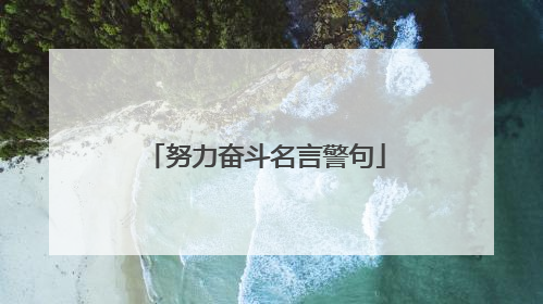 努力奋斗名言警句