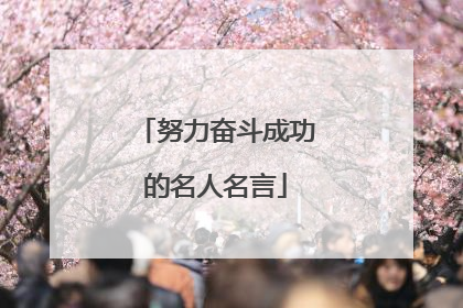 努力奋斗成功的名人名言