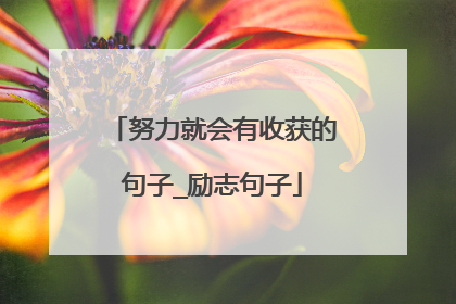 努力就会有收获的句子_励志句子