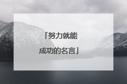 努力就能 成功的名言