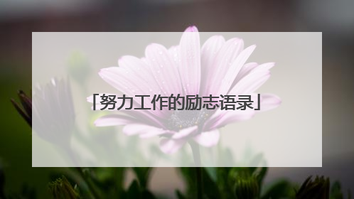 努力工作的励志语录