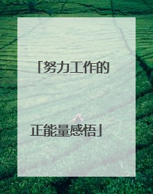 努力工作的正能量感悟