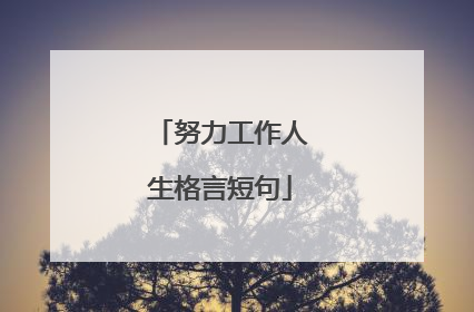努力工作人生格言短句