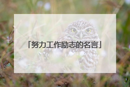 努力工作励志的名言