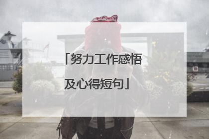 努力工作感悟及心得短句