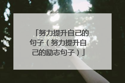 努力提升自己的句子(努力提升自己的励志句子)